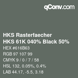 Color code: HKS Rasterfaecher - HKS 61K 040% Black 50% | qconv.com