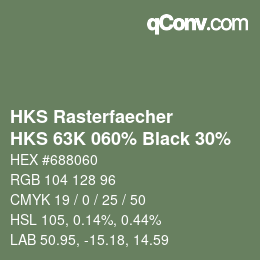 Color code: HKS Rasterfaecher - HKS 63K 060% Black 30% | qconv.com