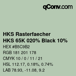 Code couleur: HKS Rasterfaecher - HKS 65K 020% Black 10% | qconv.com