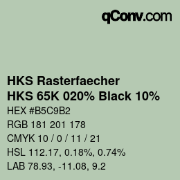 Color code: HKS Rasterfaecher - HKS 65K 020% Black 10% | qconv.com