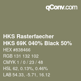 Color code: HKS Rasterfaecher - HKS 69K 040% Black 50% | qconv.com