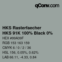Code couleur: HKS Rasterfaecher - HKS 91K 100% Black 0% | qconv.com