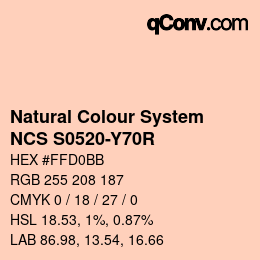 Color code: Natural Colour System<br>NCS S0520-Y70R - Lachs | qconv.com