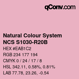 カラーコード: Natural Colour System<br>NCS S1030-R20B - Rosa | qconv.com