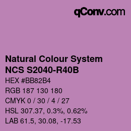 Farbcode: Natural Colour System<br>NCS S2040-R40B - Lila | qconv.com