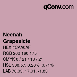 カラーコード: Neenah - Grapesicle | qconv.com