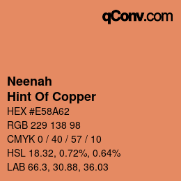 カラーコード: Neenah - Hint Of Copper | qconv.com