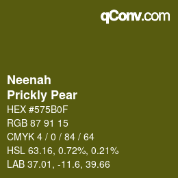 Code couleur: Neenah - Prickly Pear | qconv.com