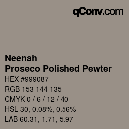 Color code: Neenah - Proseco Polished Pewter | qconv.com