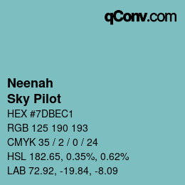 Color code: Neenah - Sky Pilot | qconv.com
