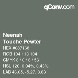 Color code: Neenah - Touche Pewter  | qconv.com
