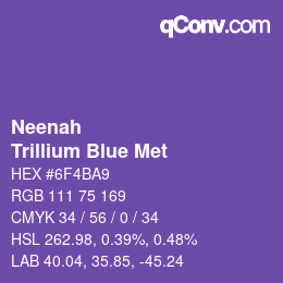 カラーコード: Neenah - Trillium Blue Met | qconv.com