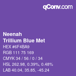 カラーコード: Neenah - Trillium Blue Met | qconv.com