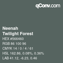 カラーコード: Neenah - Twilight Forest | qconv.com