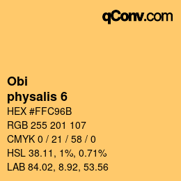 Farbcode: Obi - physalis 6 | qconv.com