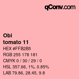 颜色代码: Obi - tomato 11 | qconv.com