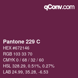 Code couleur: Pantone 229 C | qconv.com