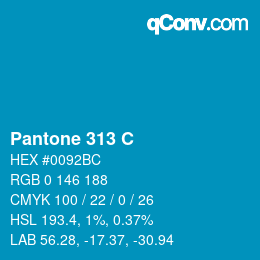 カラーコード: Pantone 313 C | qconv.com