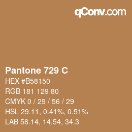 Code couleur: Pantone 729 C | qconv.com