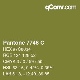 Código de color: Pantone 7748 C | qconv.com