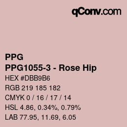 Color code: PPG - PPG1055-3 - Rose Hip | qconv.com