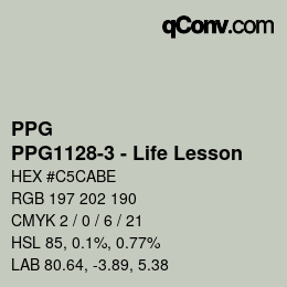 Farbcode: PPG - PPG1128-3 - Life Lesson | qconv.com