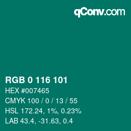 Color code: RGB 0 116 101 | qconv.com