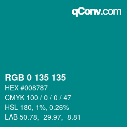 Color code: RGB 0 135 135 | qconv.com
