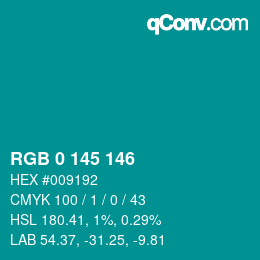 Farbcode: RGB 0 145 146 | qconv.com