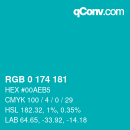 Color code: RGB 0 174 181 | qconv.com