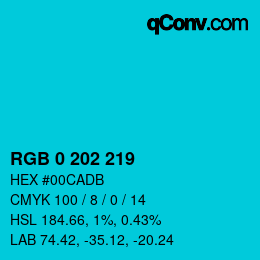 Color code: RGB 0 202 219 | qconv.com