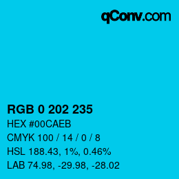 Color code: RGB 0 202 235 | qconv.com