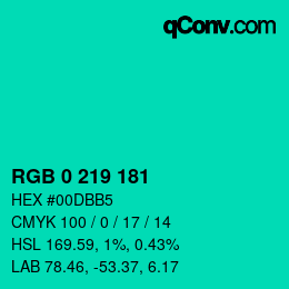 Color code: RGB 0 219 181 | qconv.com