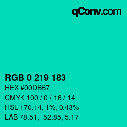 Color code: RGB 0 219 183 | qconv.com