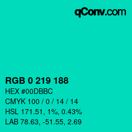 Color code: RGB 0 219 188 | qconv.com