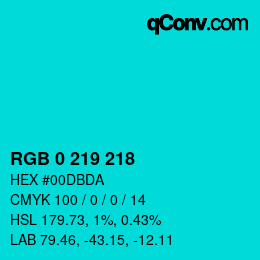 Color code: RGB 0 219 218 | qconv.com