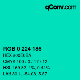 Color code: RGB 0 224 186 | qconv.com