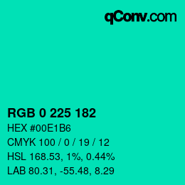 Color code: RGB 0 225 182 | qconv.com