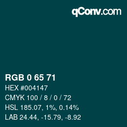颜色代码: RGB 0 65 71 | qconv.com