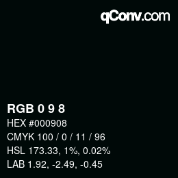 Color code: RGB 0 9 8 | qconv.com