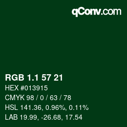 カラーコード: RGB 1.1 57 21 | qconv.com