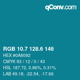 カラーコード: RGB 10.7 128.6 146 | qconv.com