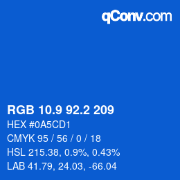 Color code: RGB 10.9 92.2 209 | qconv.com