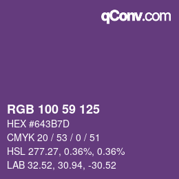 Color code: RGB 100 59 125 | qconv.com