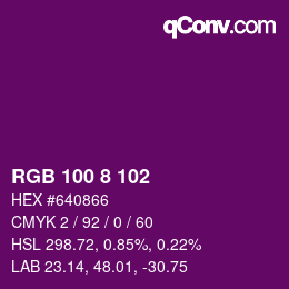 Color code: RGB 100 8 102 | qconv.com