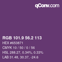 Color code: RGB 101.9 56.2 113 | qconv.com