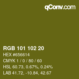 Color code: RGB 101 102 20 | qconv.com