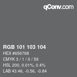 Color code: RGB 101 103 104 | qconv.com