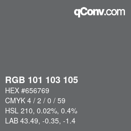 Color code: RGB 101 103 105 | qconv.com