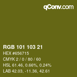 Color code: RGB 101 103 21 | qconv.com